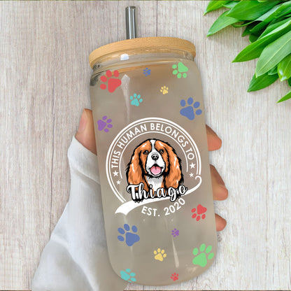 This Human Belongs To Dog Cat Glass Bottle/Frosted Bottle With Lid & Straw, Pet Lover Gift - Personalized Glass Bottle