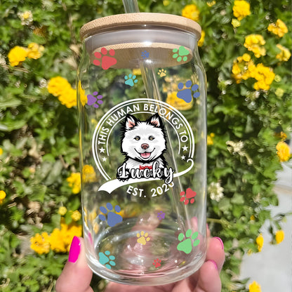 This Human Belongs To Dog Cat Glass Bottle/Frosted Bottle With Lid & Straw, Pet Lover Gift - Personalized Glass Bottle