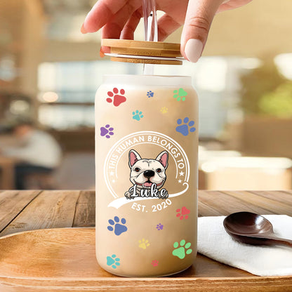 This Human Belongs To Dog Cat Glass Bottle/Frosted Bottle With Lid & Straw, Pet Lover Gift - Personalized Glass Bottle