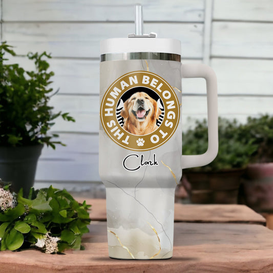 This Human Belong To Paw - Gift For Dog Lover, Gift For Him, Gift For Her - Personalized Custom Tumbler