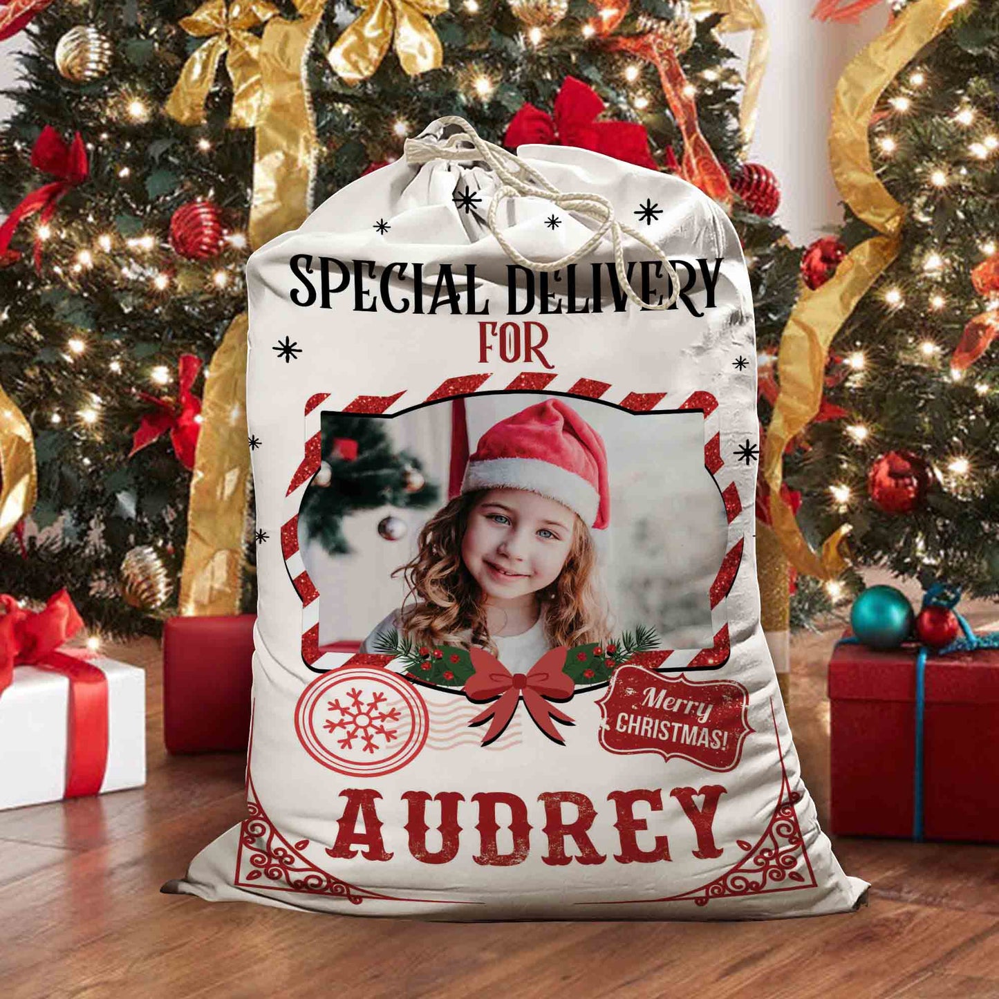 Special Delivery Christmas Gift Sack - Personalized Santa Sack - Christmas Gift