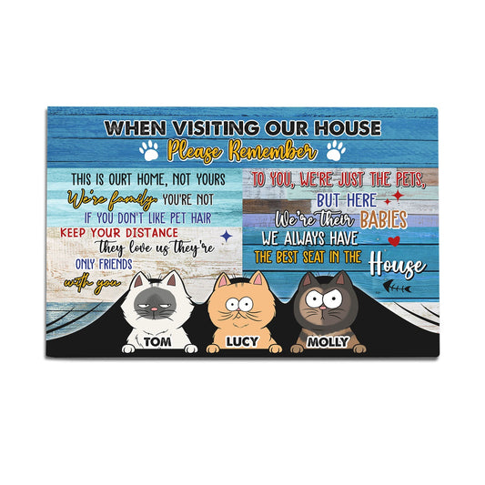 Personalized When You Visiting Our House Cat Door Mat, Funny Gift For Cat Lovers